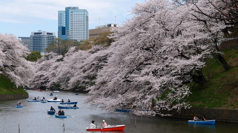 Russian startups will get possibilities to enter the Japanese market