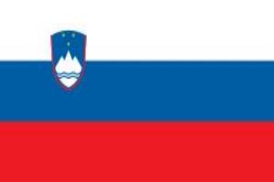 Honorary Consul of the Republic of Slovenia in Nizhny Novgorod