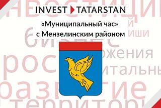 Мензелинский муниципальный район